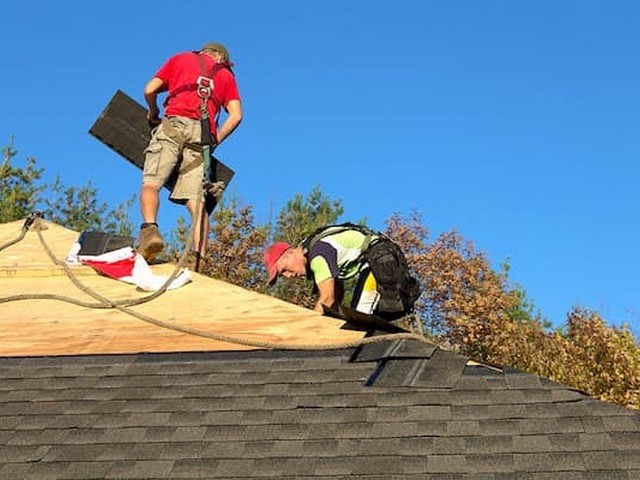 Average Roof Repair Cost